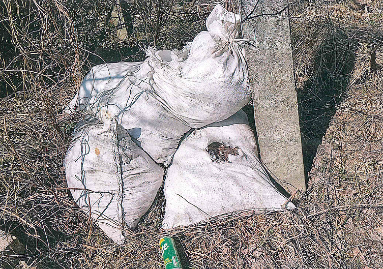 Zdjęcie przedstawia worki ze śmieciami pozostawione przy słupie energetycznym