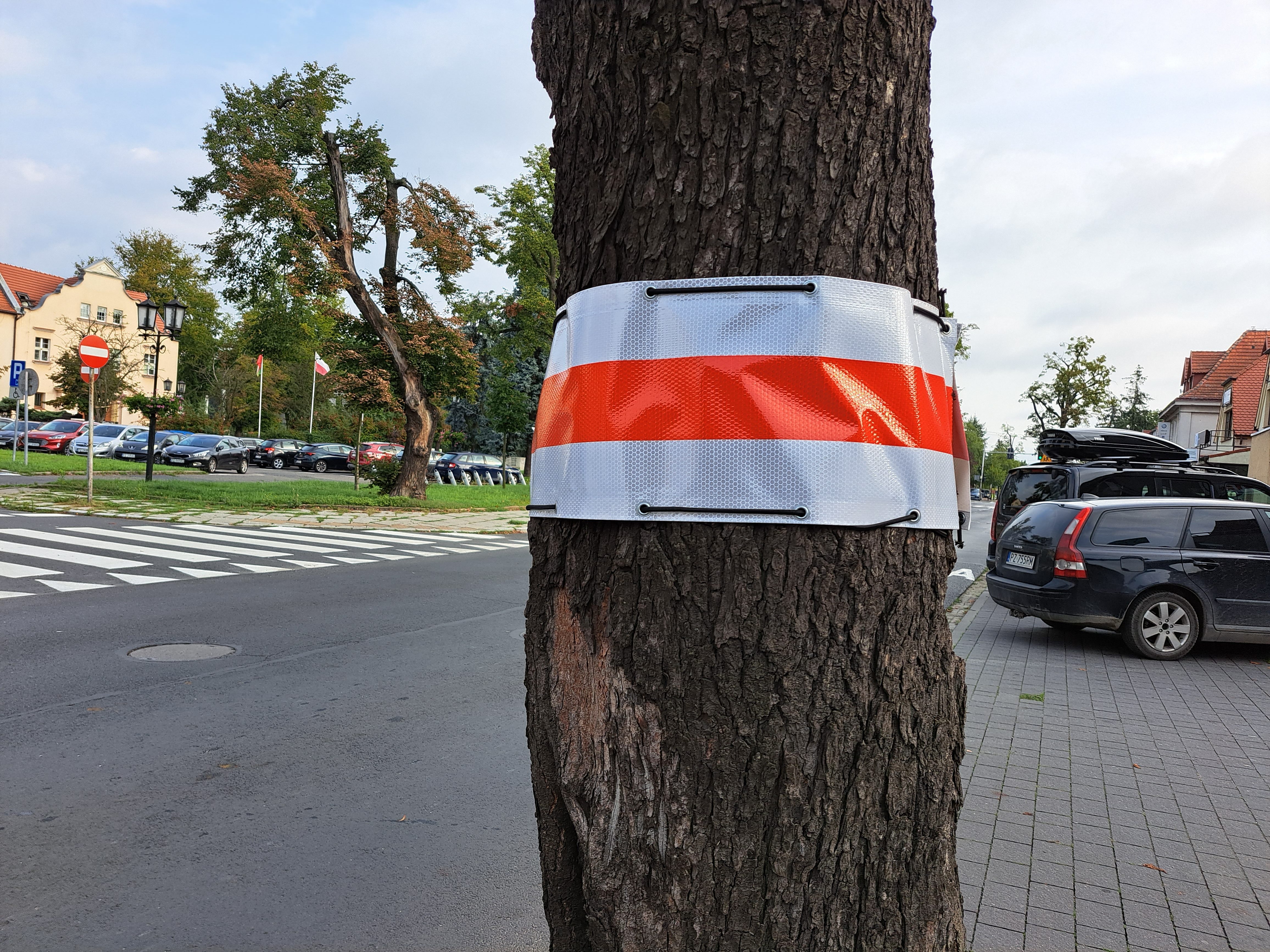 Taśma odblaskowa na drzewie przy ulicy Poniatowskiego
